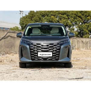 AION LX 2019